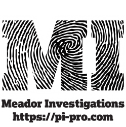 Meador Investigations